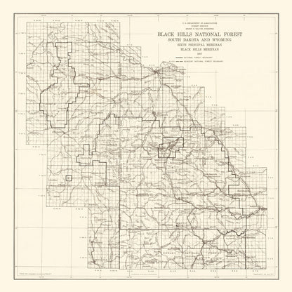 Vintage Black Hills National Forest Map 1917