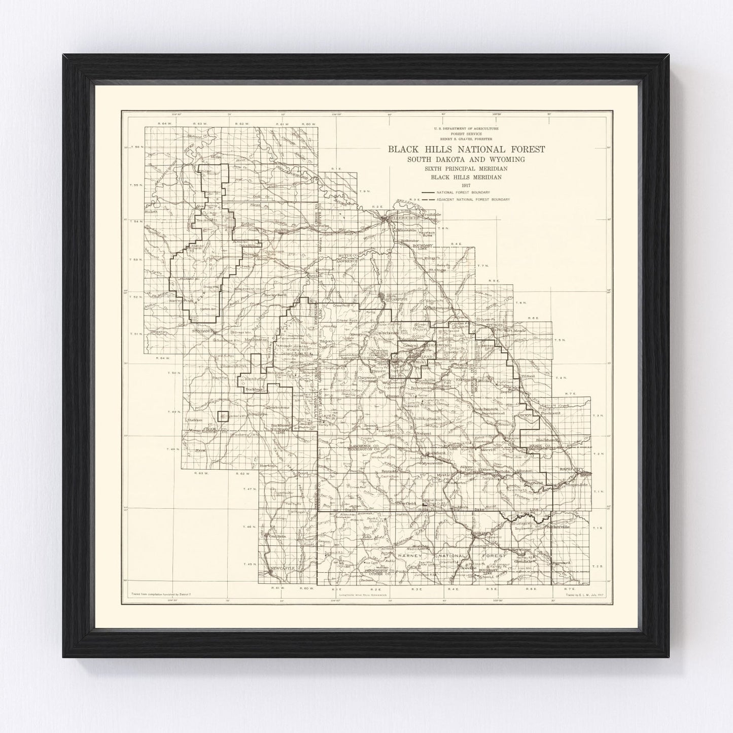 Vintage Black Hills National Forest map, 1917 - early national forest system survey print