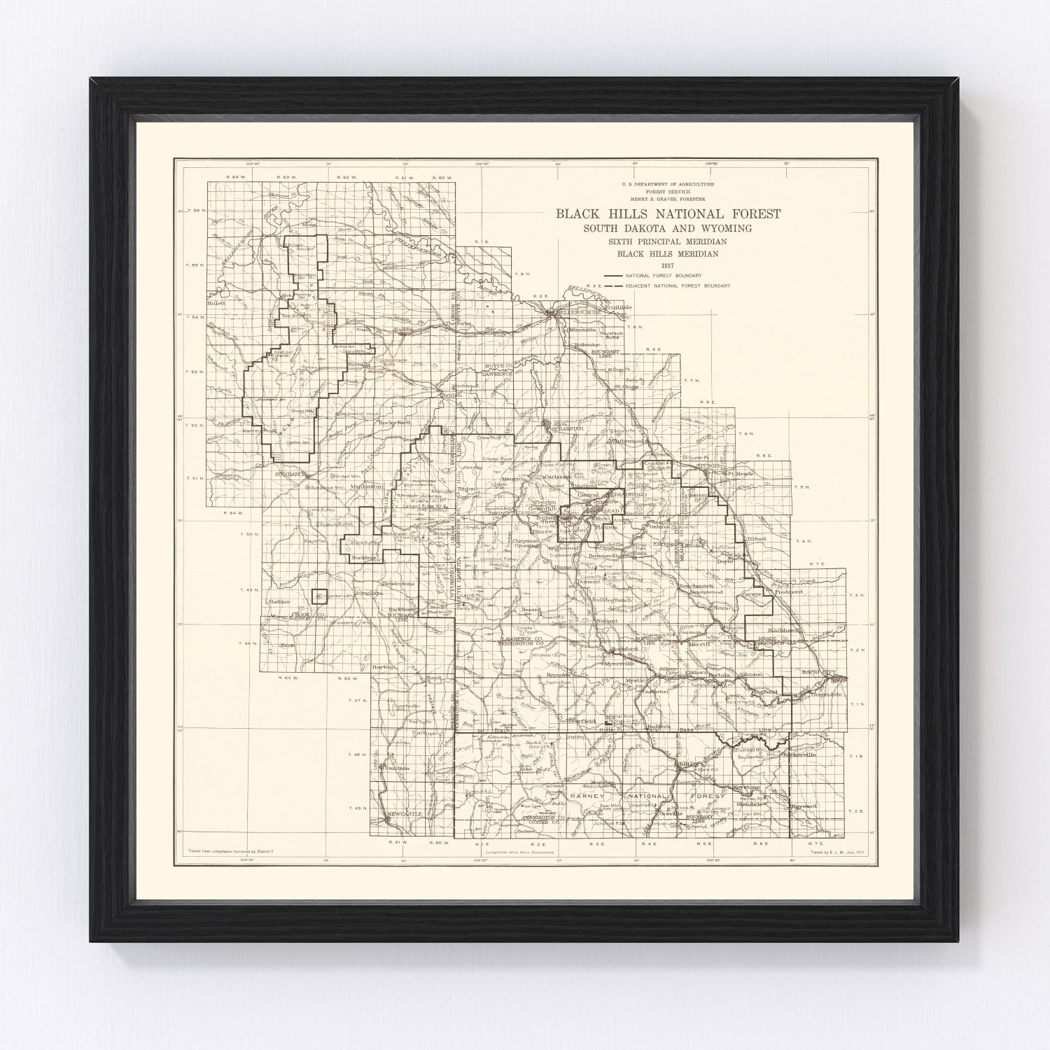 Vintage Black Hills National Forest map, 1917 - early national forest system survey print