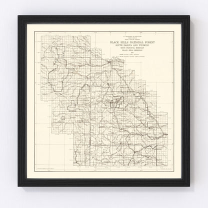 Vintage Black Hills National Forest map, 1917 - early national forest system survey print