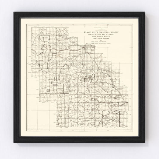 Vintage Black Hills National Forest map, 1917 - early national forest system survey print