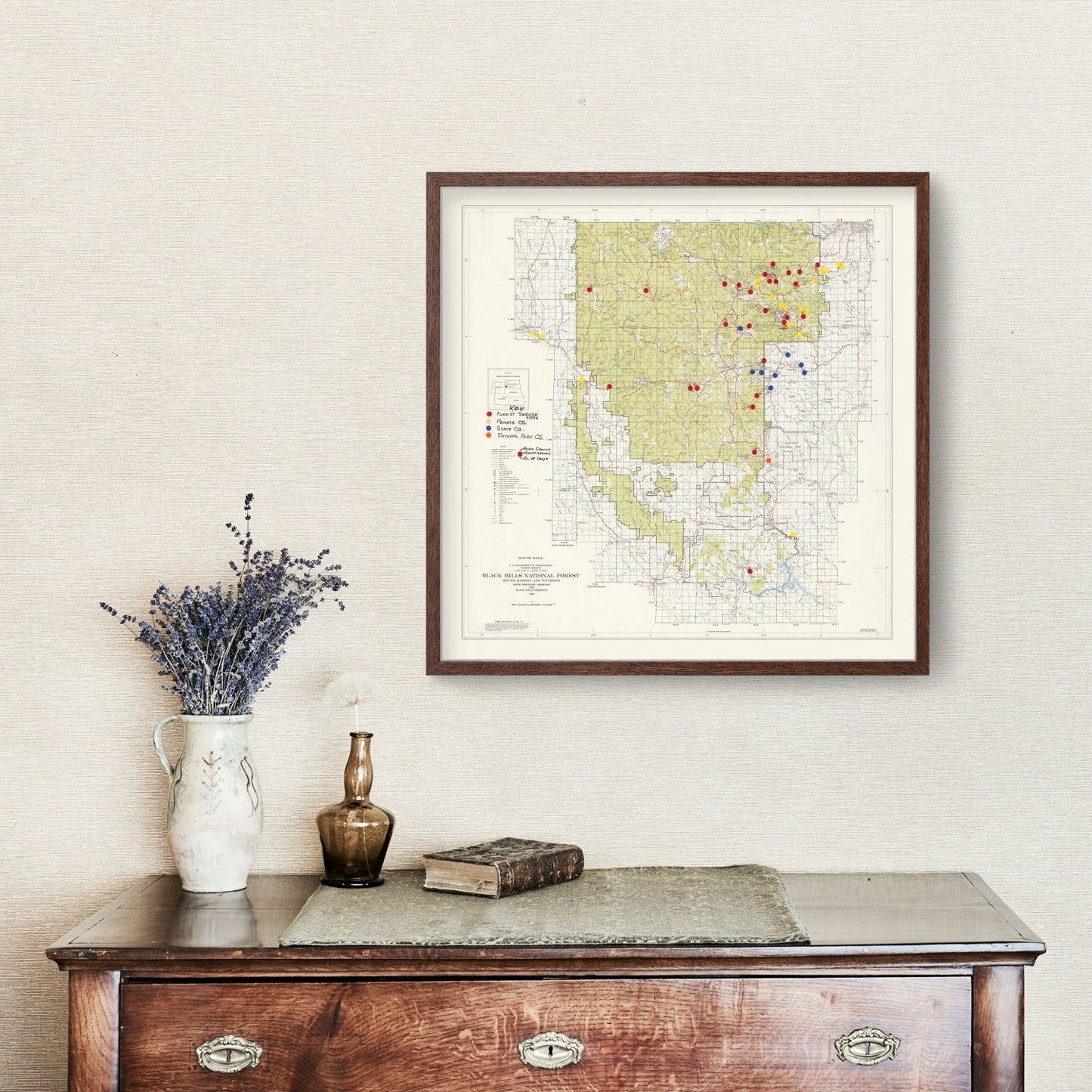 Vintage Black Hills National Forest Map, 1962