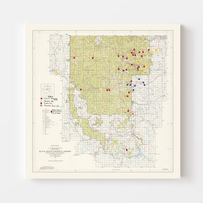 Vintage Black Hills National Forest Map, 1962