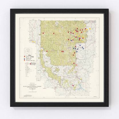 Vintage Black Hills National Forest map, 1962 - campgrounds and wilderness zones print