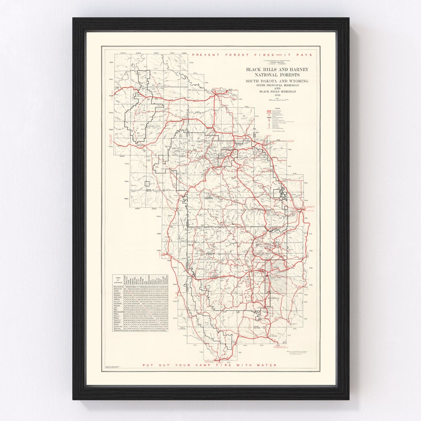 Vintage map of Black Hills and Harney National Forest, 1934 - restored forest survey print