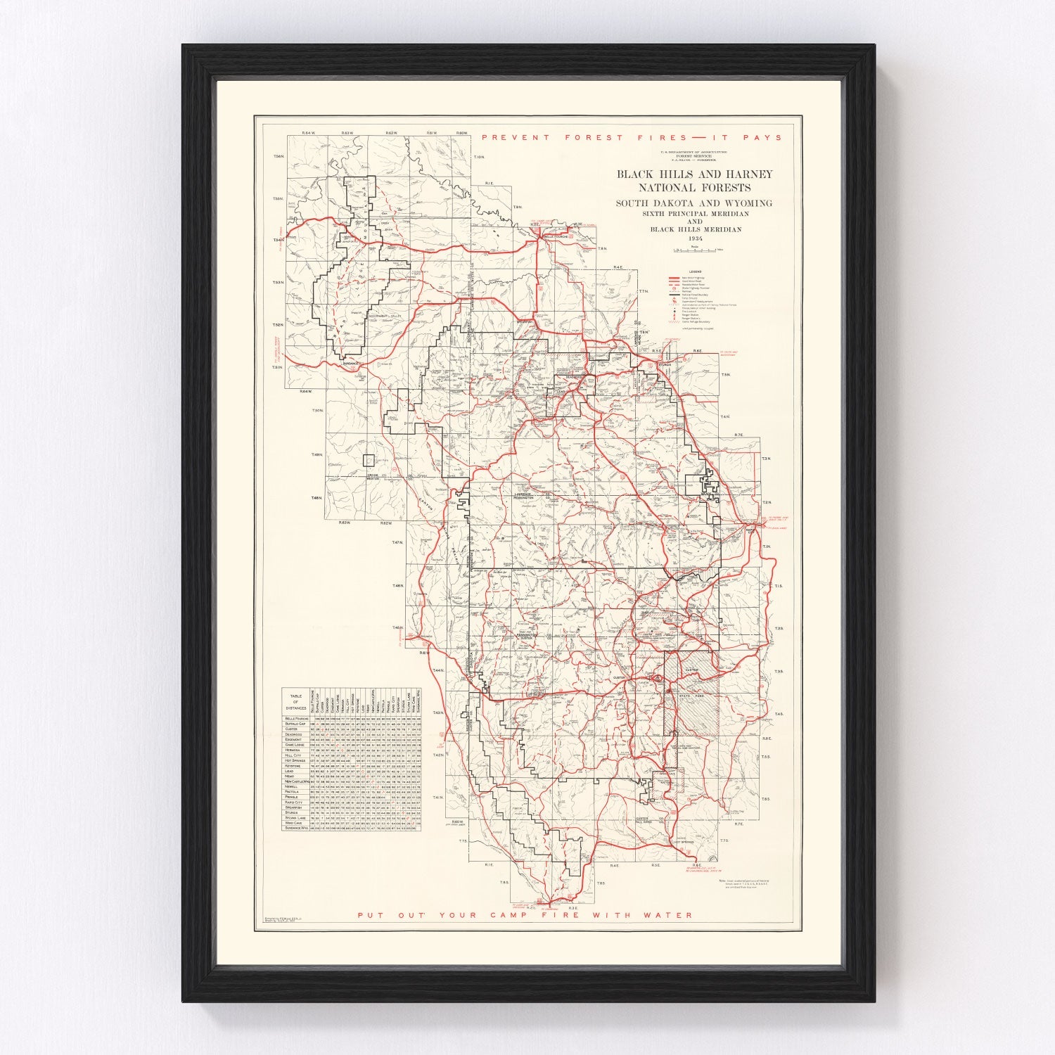 Vintage map of Black Hills and Harney National Forest, 1934 - restored forest survey print