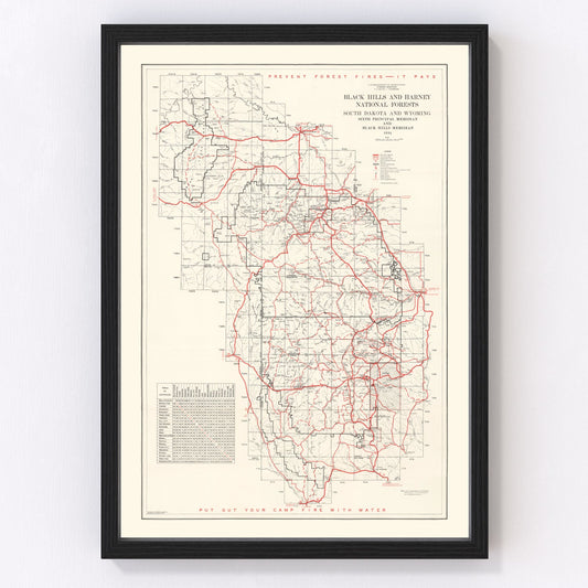 Vintage map of Black Hills and Harney National Forest, 1934 - restored forest survey print