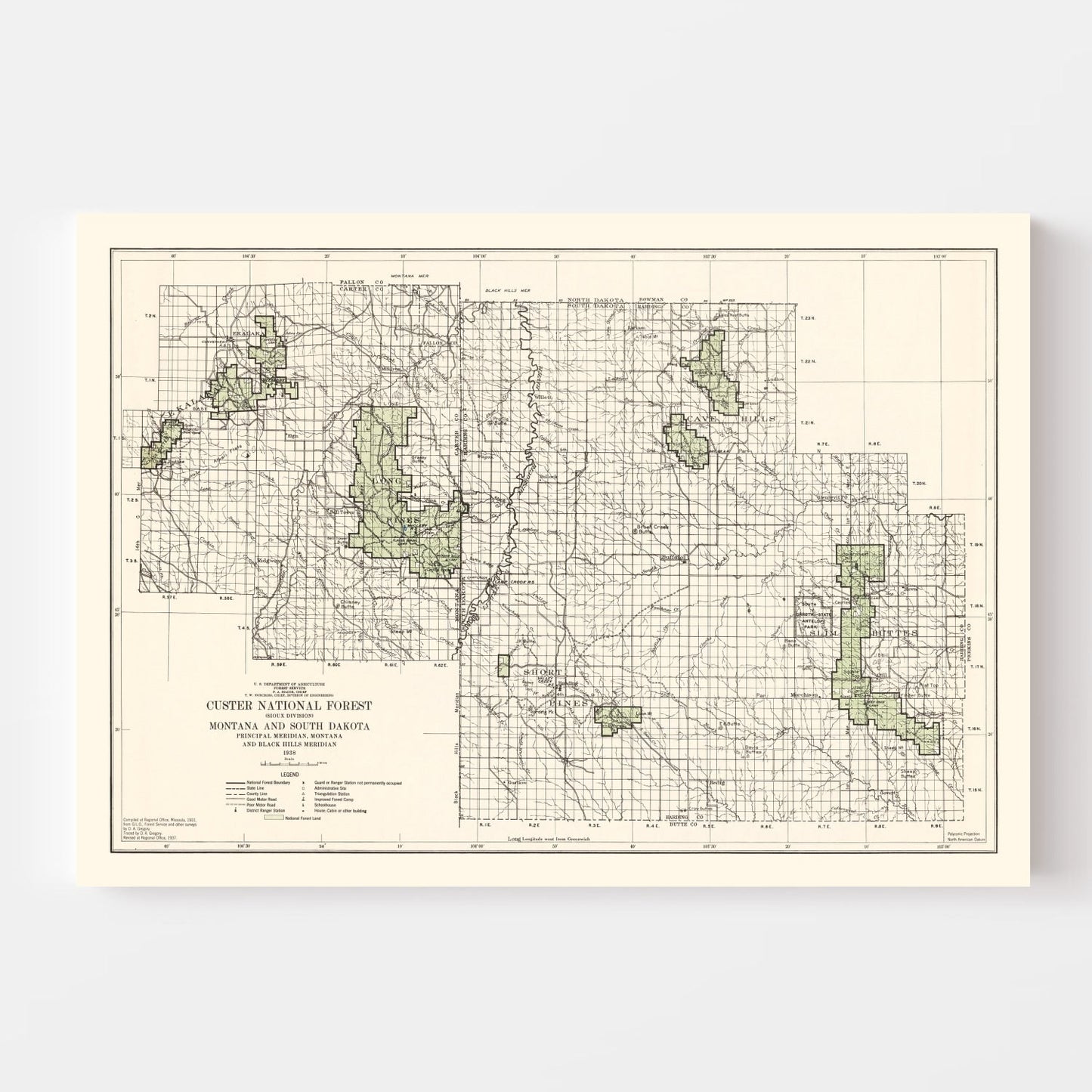 Vintage Custer National Forest Map, 1938