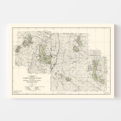 Vintage Custer National Forest Map, 1938