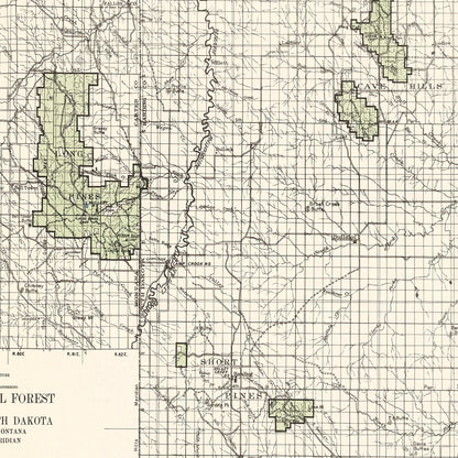Vintage Custer National Forest Map, 1938