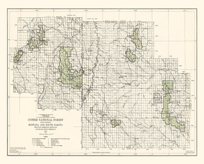 Vintage Custer National Forest Map, 1938