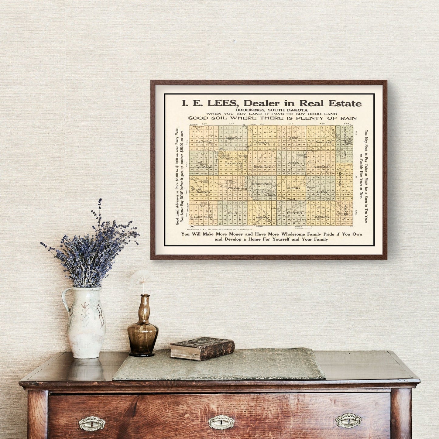 Vintage Map of Brookings County, South Dakota 1917