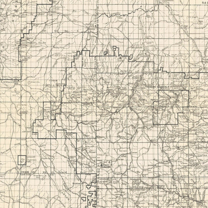 Vintage Harney National Forest Map 1939