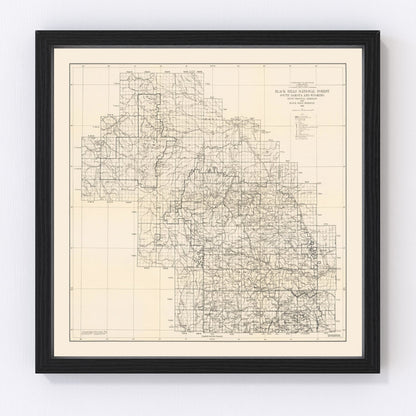 Vintage map of Harney National Forest, South Dakota, 1939