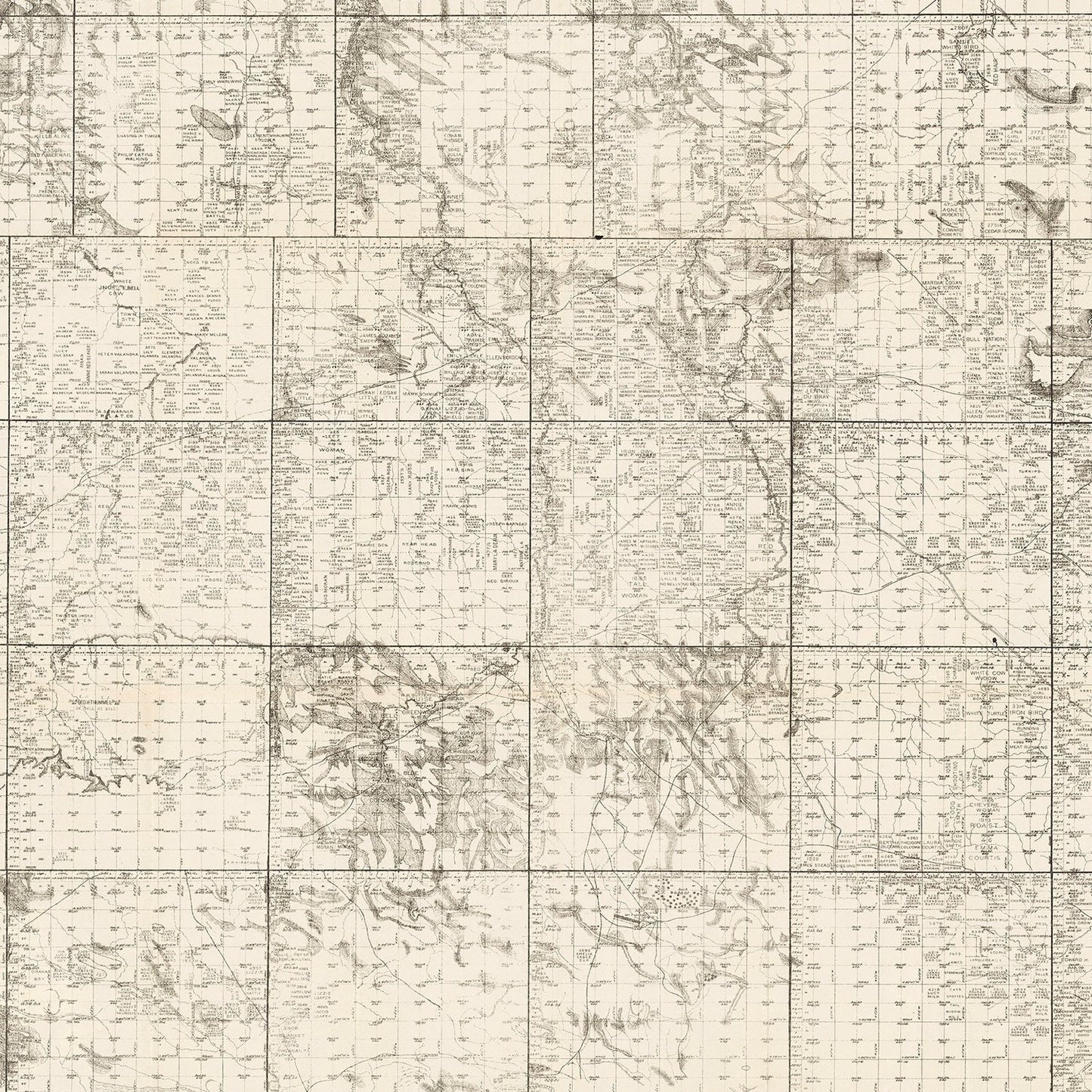 Vintage Map of Tripp County, South Dakota, 1908