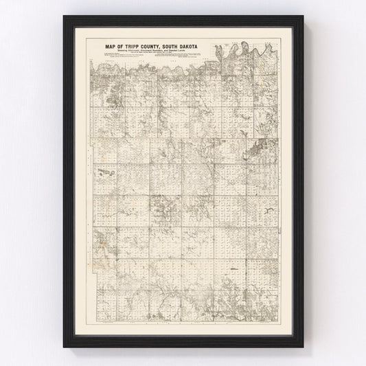 vintage map of Tripp County, South Dakota, 1908