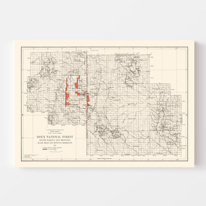 Vintage Sioux National Forest South Dakota Map, 1919