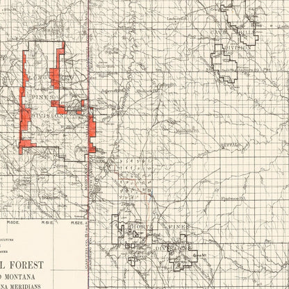 Vintage Sioux National Forest South Dakota Map, 1919