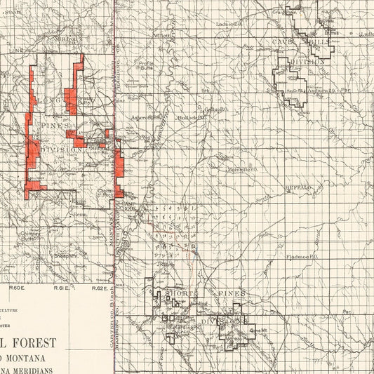 Vintage Sioux National Forest South Dakota Map, 1919