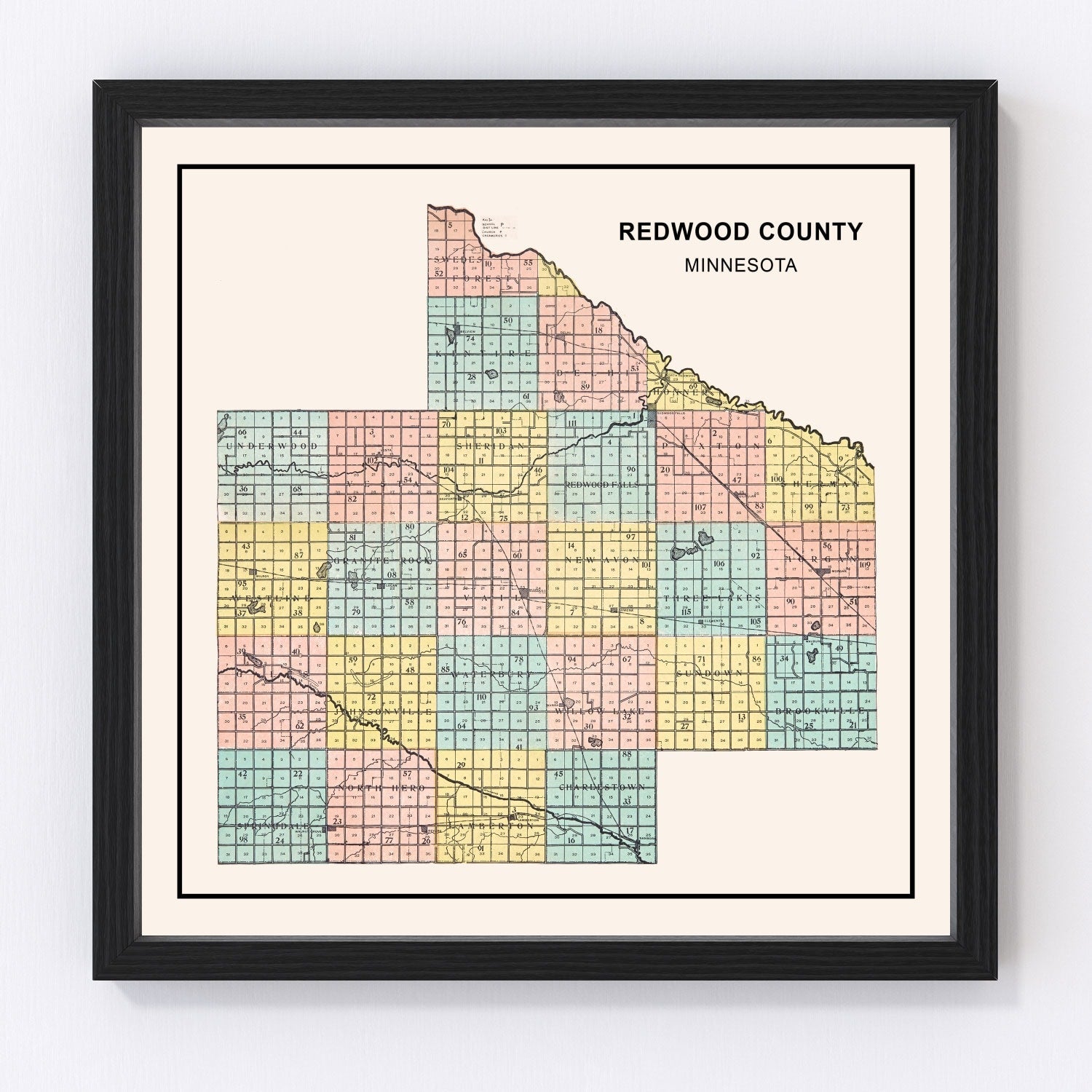 Vintage map of Redwood County, Minnesota, 1907