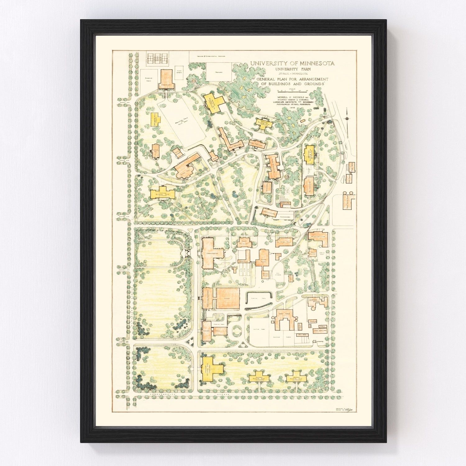 University of Minnesota farm campus vintage map 1935, restored print wall art