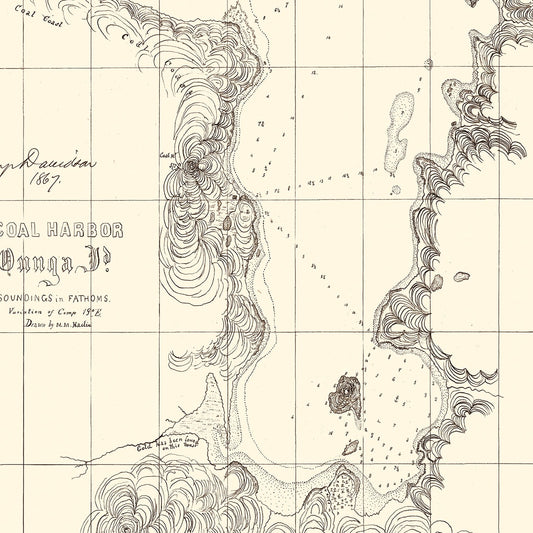 Vintage Coal Harbor Map, 1867