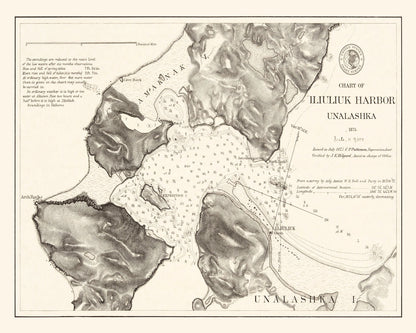 Vintage Iliuliuk Harbor, Unalaska Map, 1875