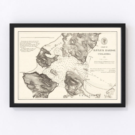 Vintage nautical chart of Iliuliuk Harbor, Unalaska, Alaska, 1875