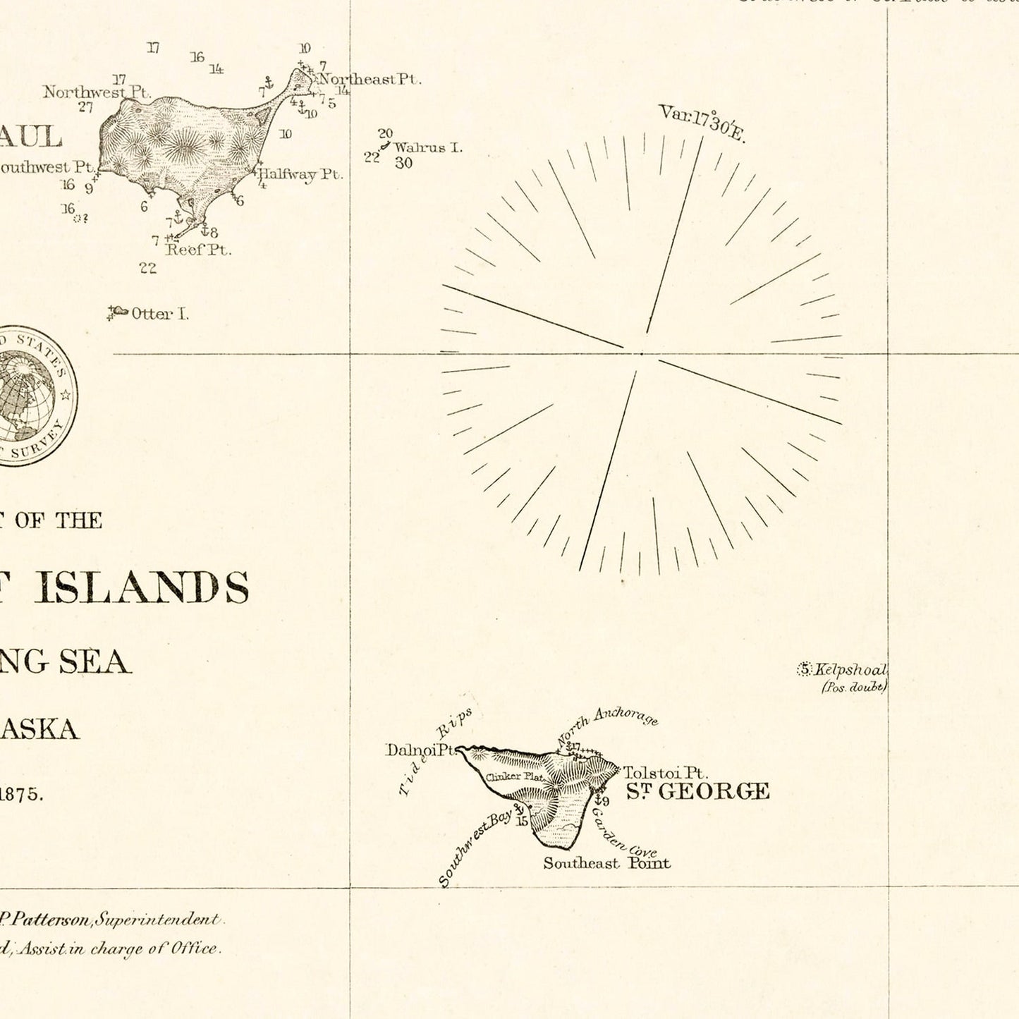 Vintage Map of the Pribilof Islands, Alaska, 1875