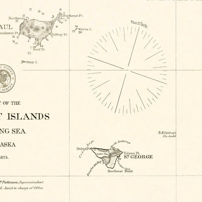 Vintage Map of the Pribilof Islands, Alaska, 1875