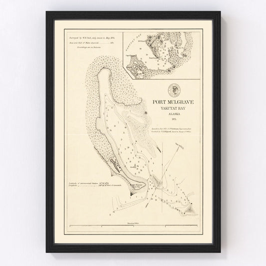 vintage map of Port Mulgrave, Yakutat Bay, Alaska, 1875