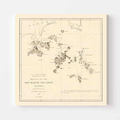 Vintage Shumagin Islands Alaska Map, 1872