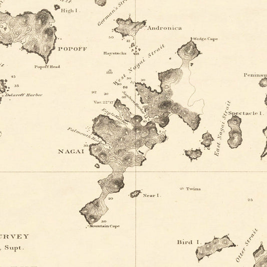 Vintage Shumagin Islands Alaska Map, 1872