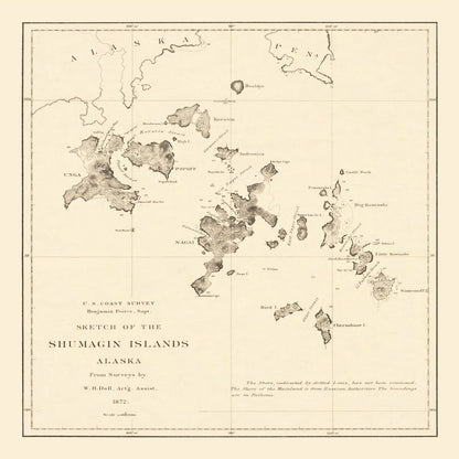 Vintage Shumagin Islands Alaska Map, 1872