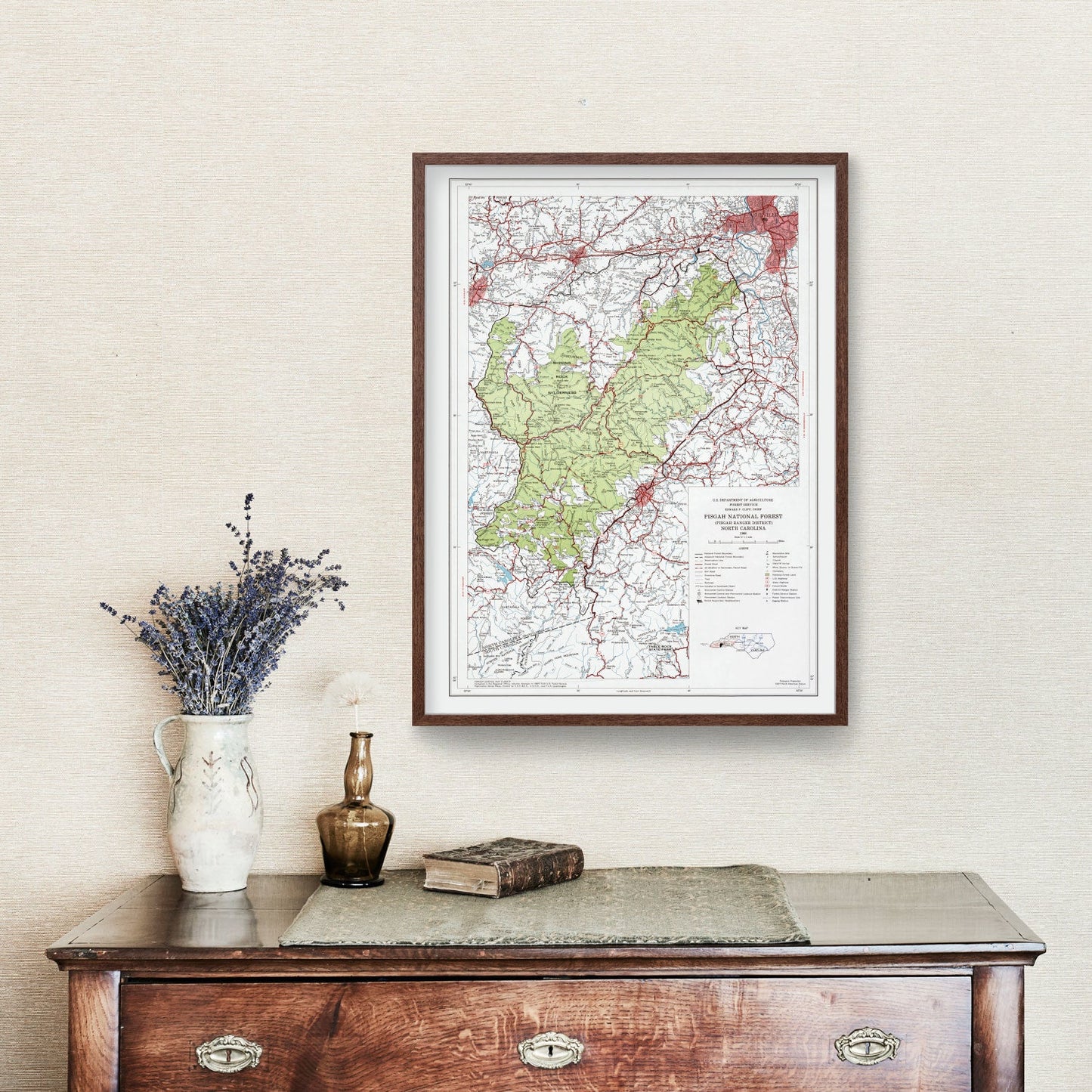 Vintage Pisgah National Forest Map, North Carolina, 1966