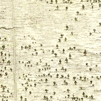 Vintage Battle of Hobkirk's Hill Map, 1794