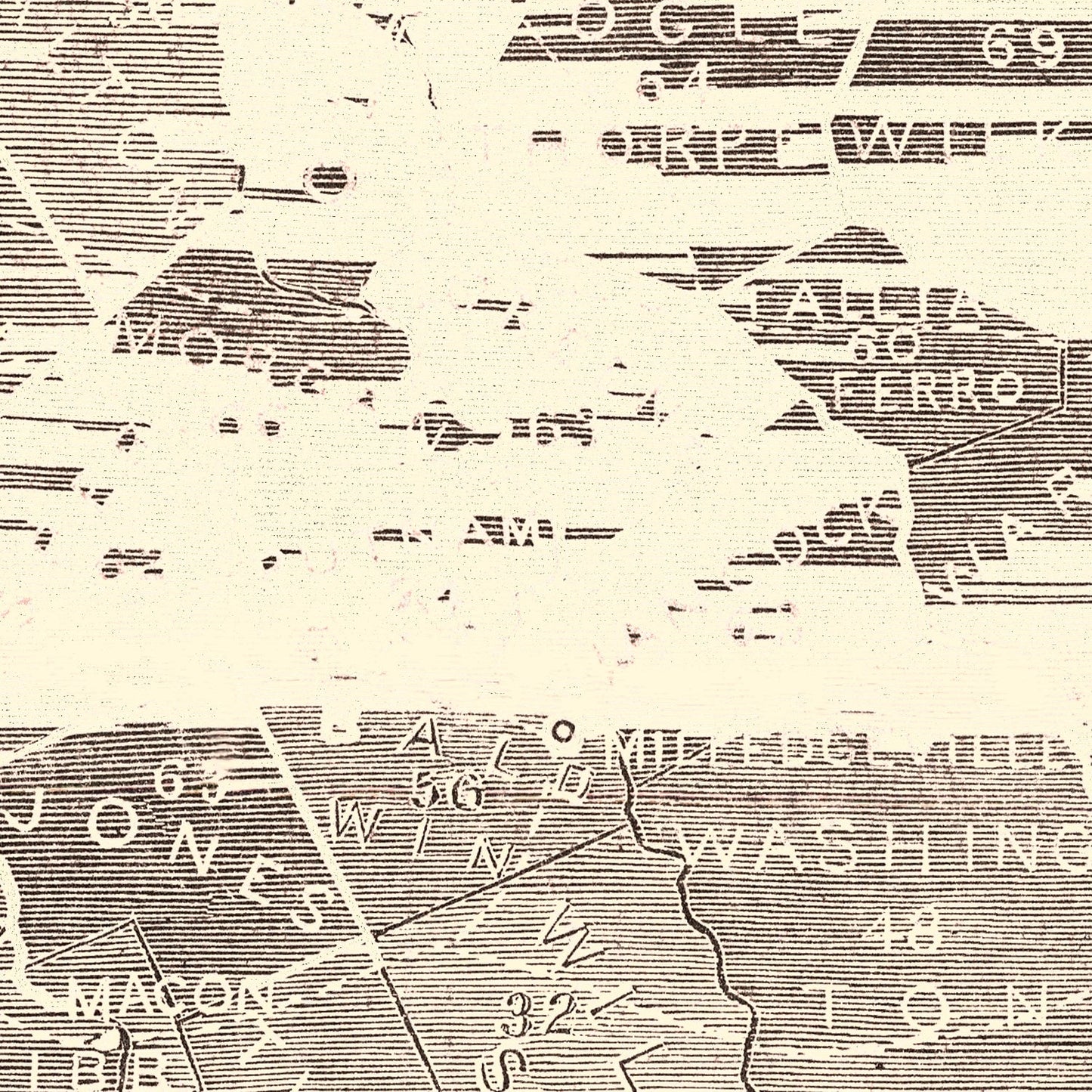 Vintage Georgia Slave Map, 1861