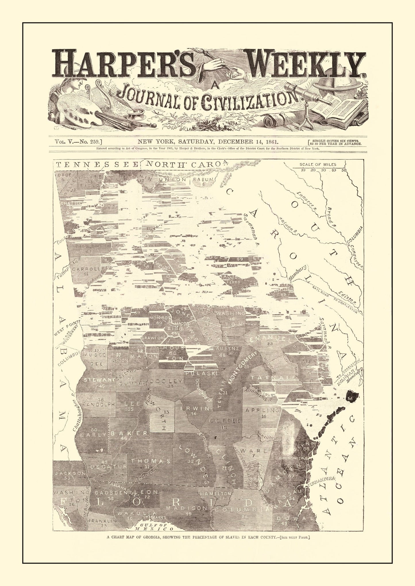 Vintage Georgia Slave Map, 1861