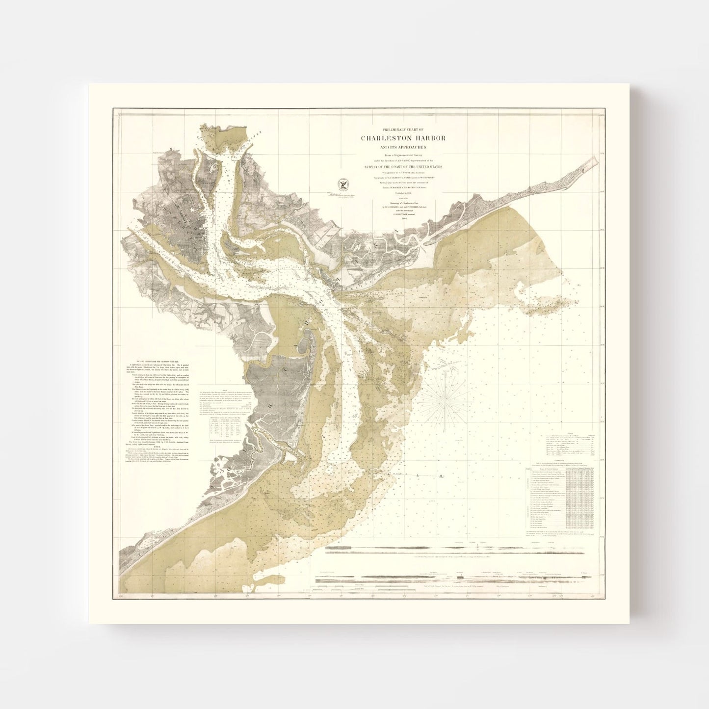Vintage Charleston Harbor Map, South Carolina, 1864