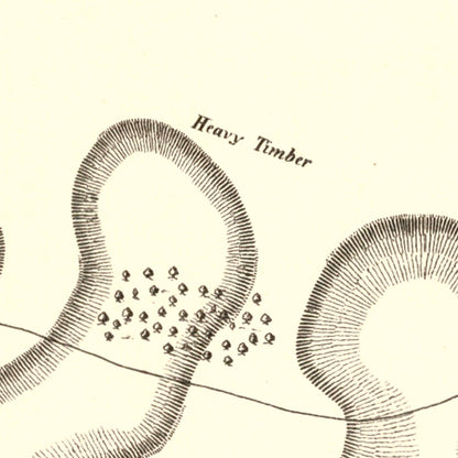 Vintage Fort Henry and Fort Donelson Map, 1875