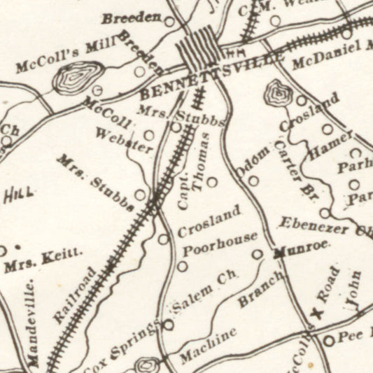 Vintage Map of Marlboro County, South Carolina, 1880