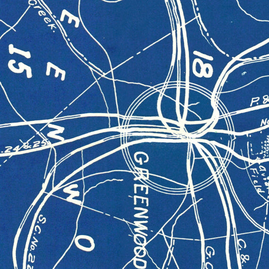 Vintage Map of Greenwood County, South Carolina, 1929