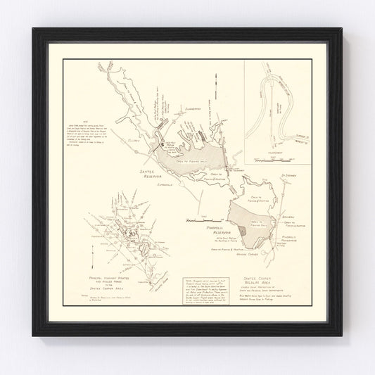 Vintage 1943 Santee Cooper wildlife area map wall art
