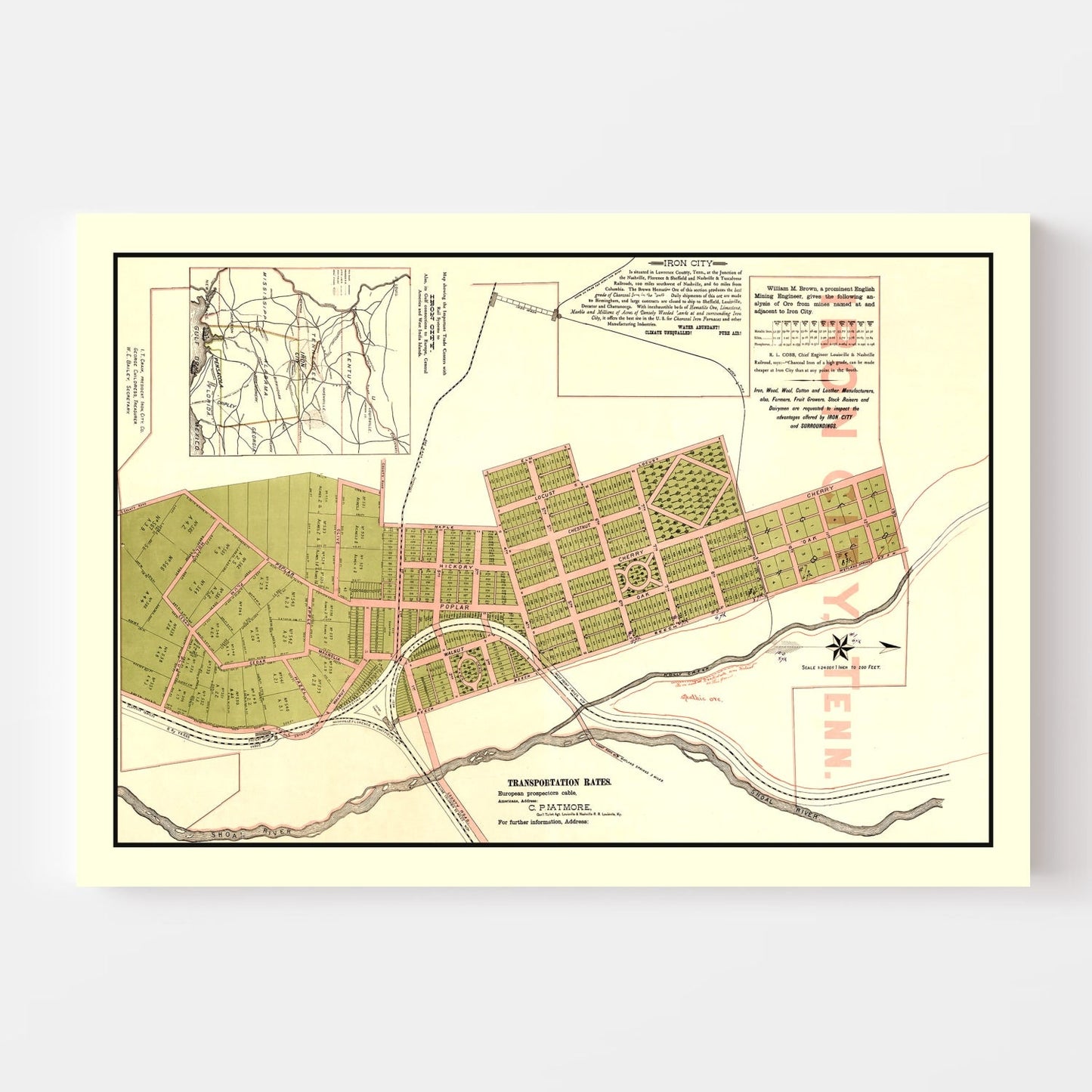 Vintage Map of Iron City, Tennessee, 1890