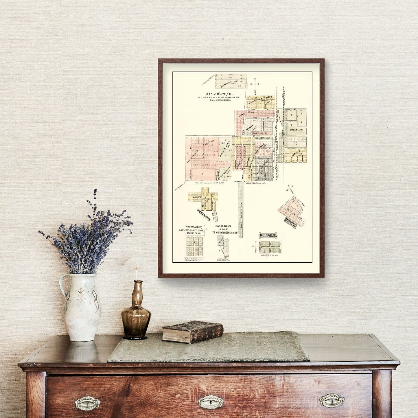 Vintage Map of White Hall, Illinois 1873