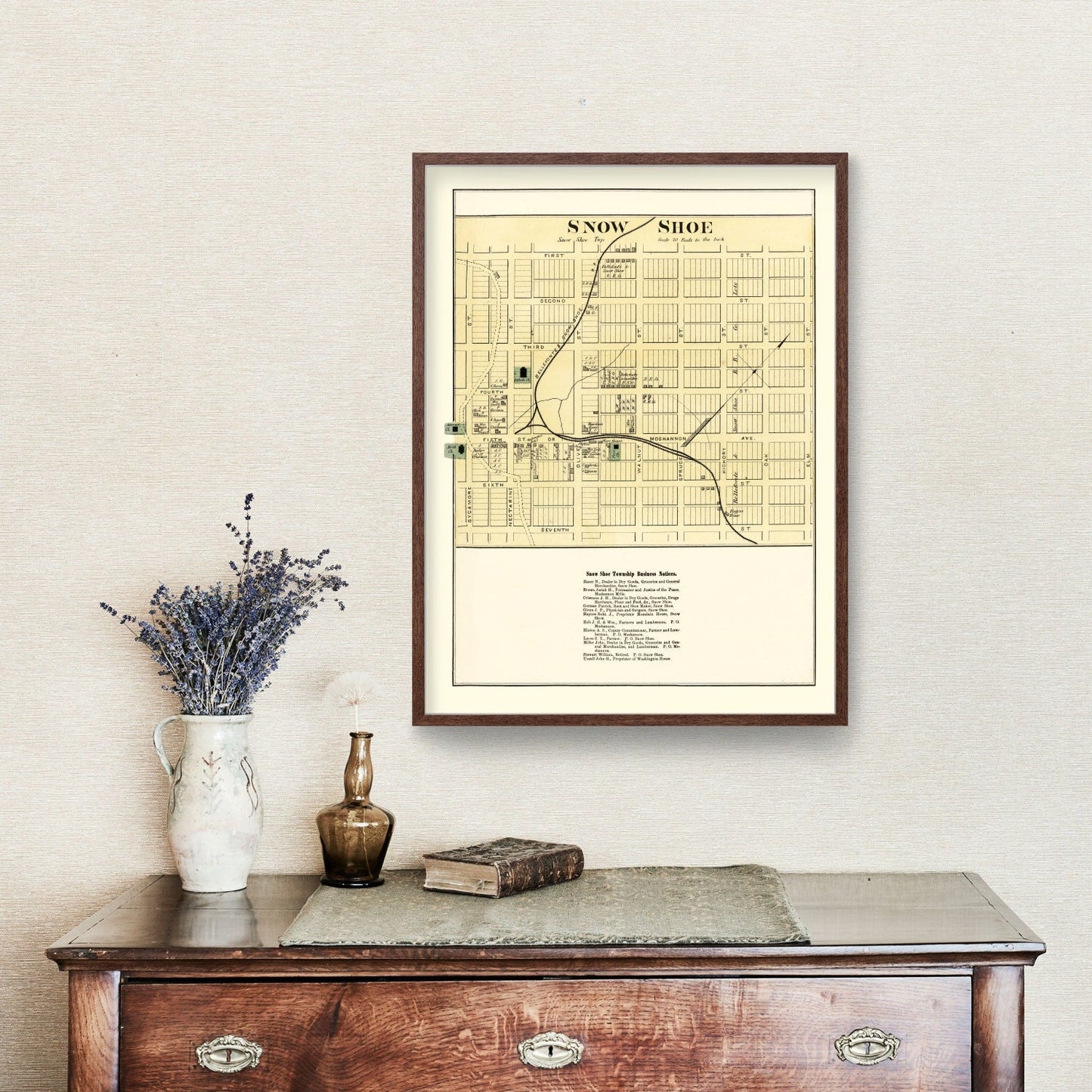 Vintage Map of Snow Shoe, Pennsylvania, 1874