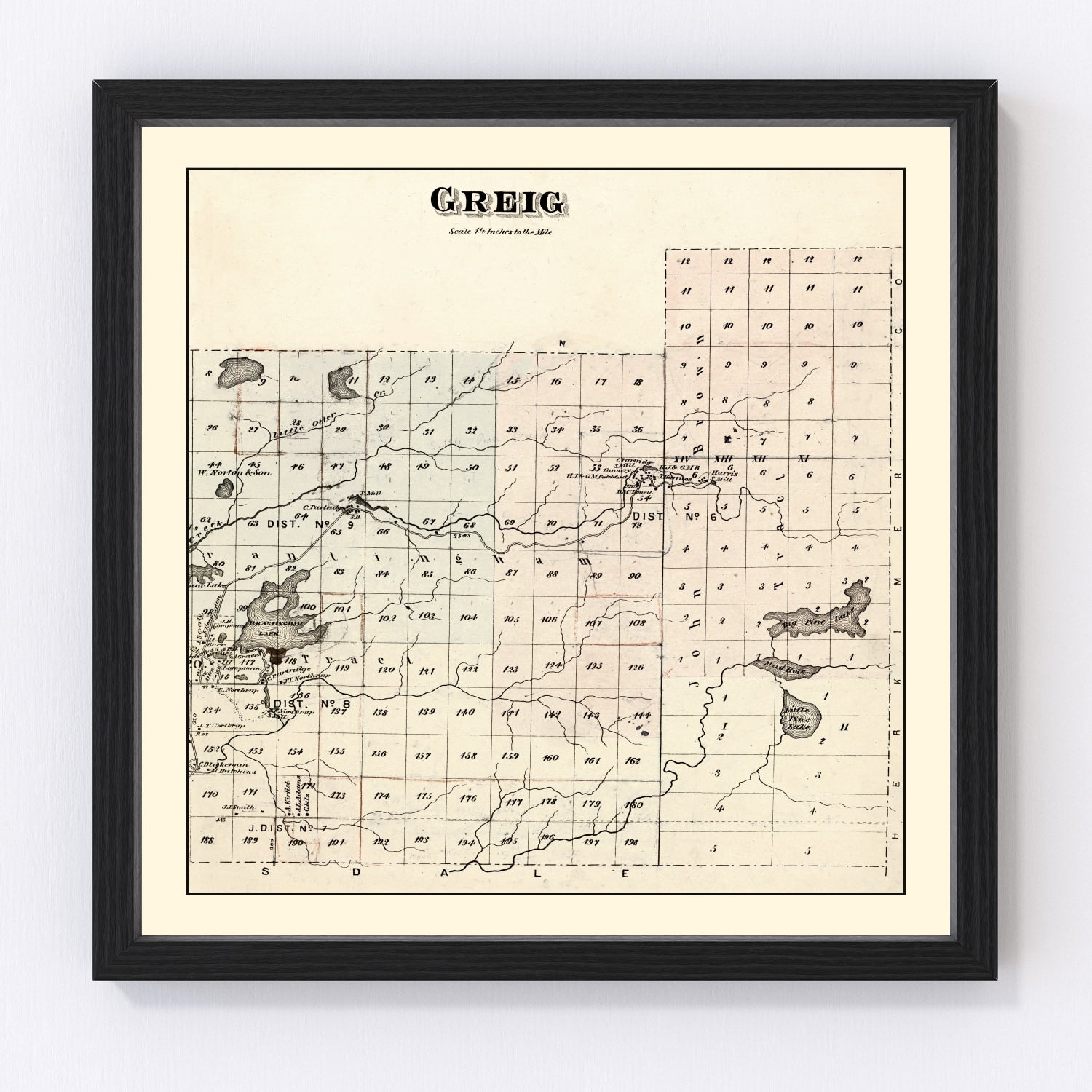 vintage map of Greig Township, Lewis County, New York, 1875