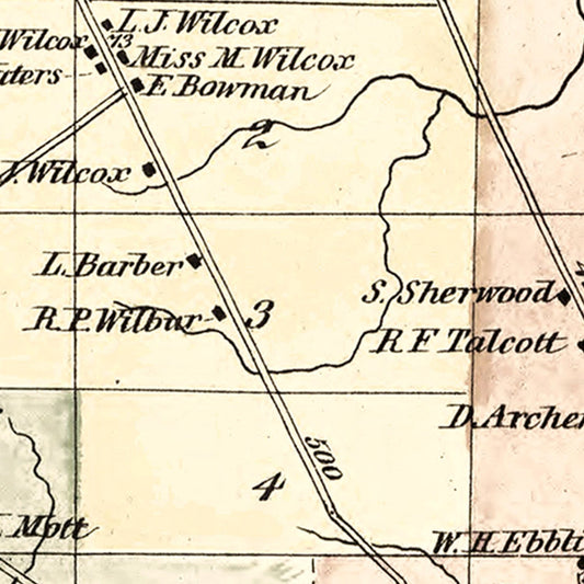 Vintage Map of Lowville Township, Lewis County, New York, 1875