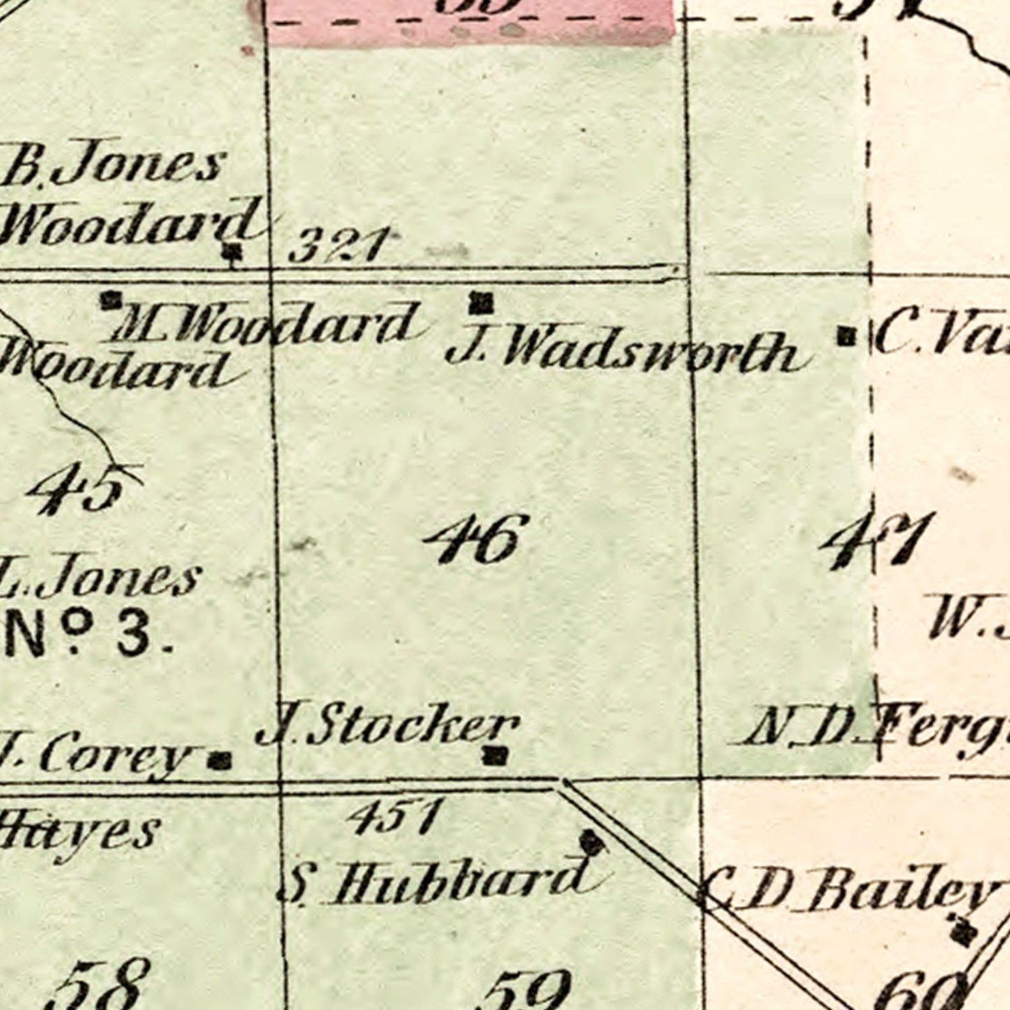 Vintage Map of Pinckney Township, Lewis County, New York, 1875