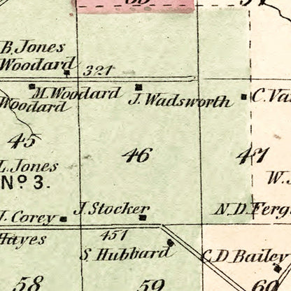 Vintage Map of Pinckney Township, Lewis County, New York, 1875
